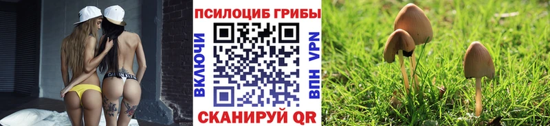 Галлюциногенные грибы MAGIC MUSHROOMS  где найти   Майский 