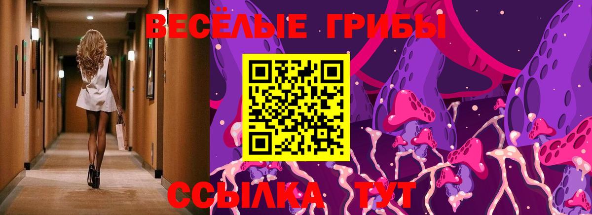 Галлюциногенные грибы Psilocybine cubensis  Вход с VPN  Галлюциногенные грибы Magic Shrooms  Майский 