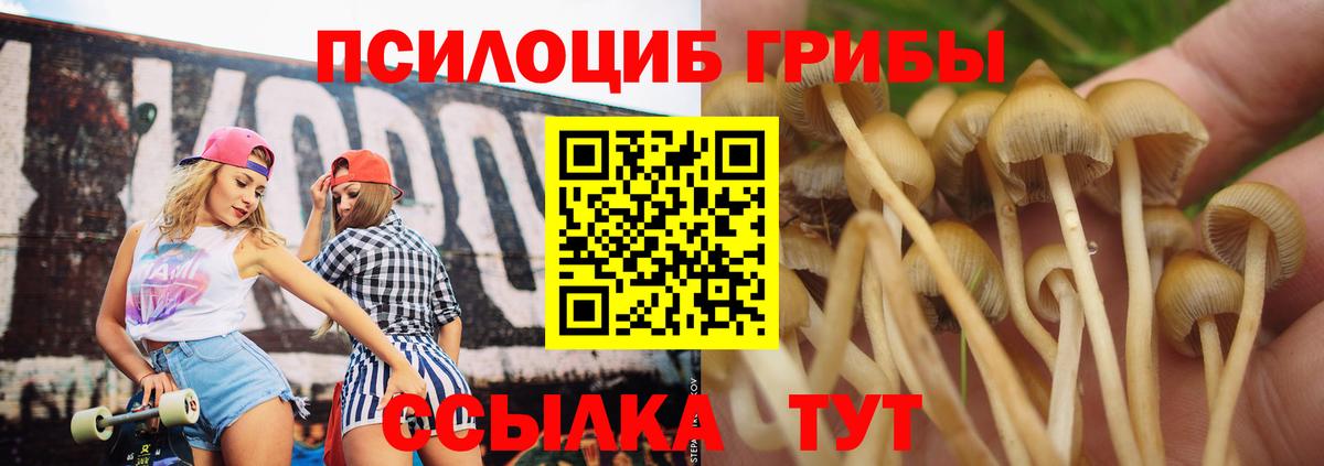 Галлюциногенные грибы Magic Shrooms  Майский  Псилоцибиновые грибы Magic Shrooms 