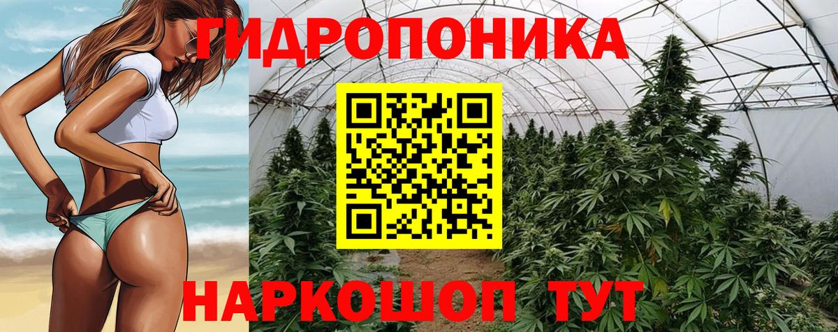 Каннабис планчик  Канабис OG Kush  Вход с VPN  Майский  Конопля THC 21%  Шишки марихуана White Widow 